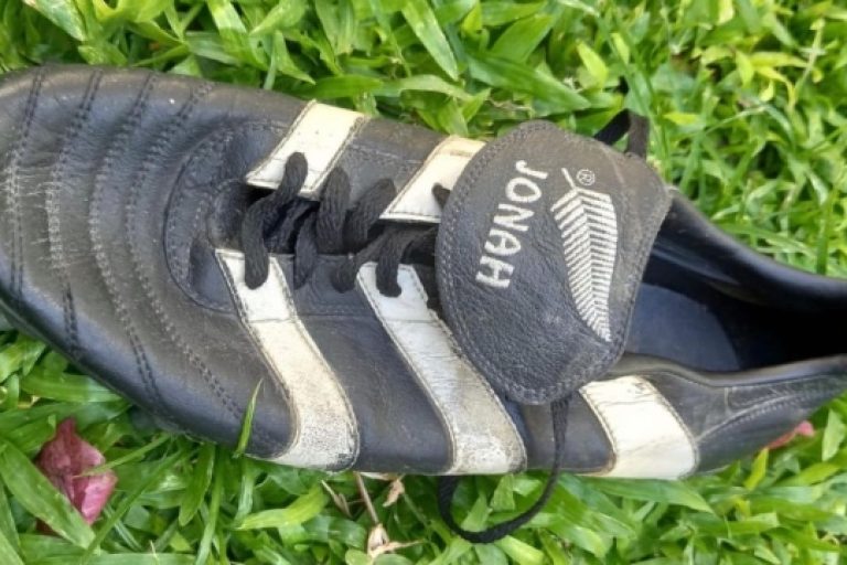 Botín de oro en Sauce Montrull