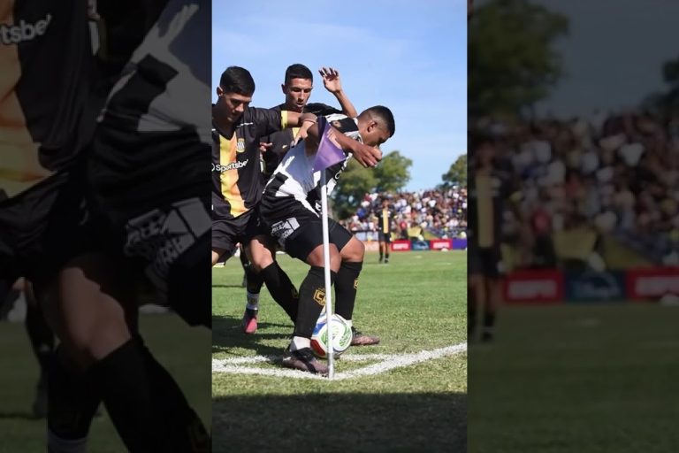 Video: ¡ASÍ SE VIVE LA FINAL DE LA COPA POTRERO! #Shorts